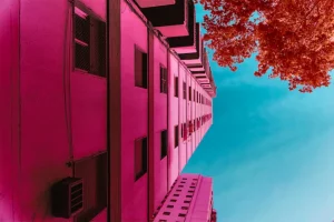 Bright pop landscape design