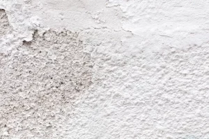 plaster wall texture or background