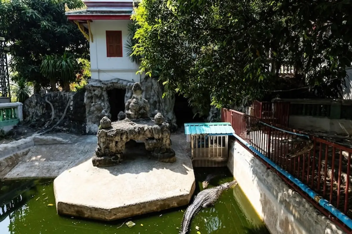 corps de ferme pierre piscine jardin