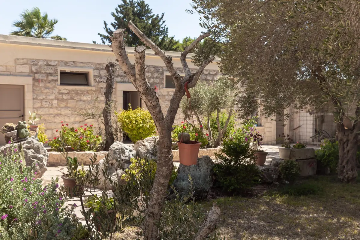 maison provençale Vaucluse jardin oliviers