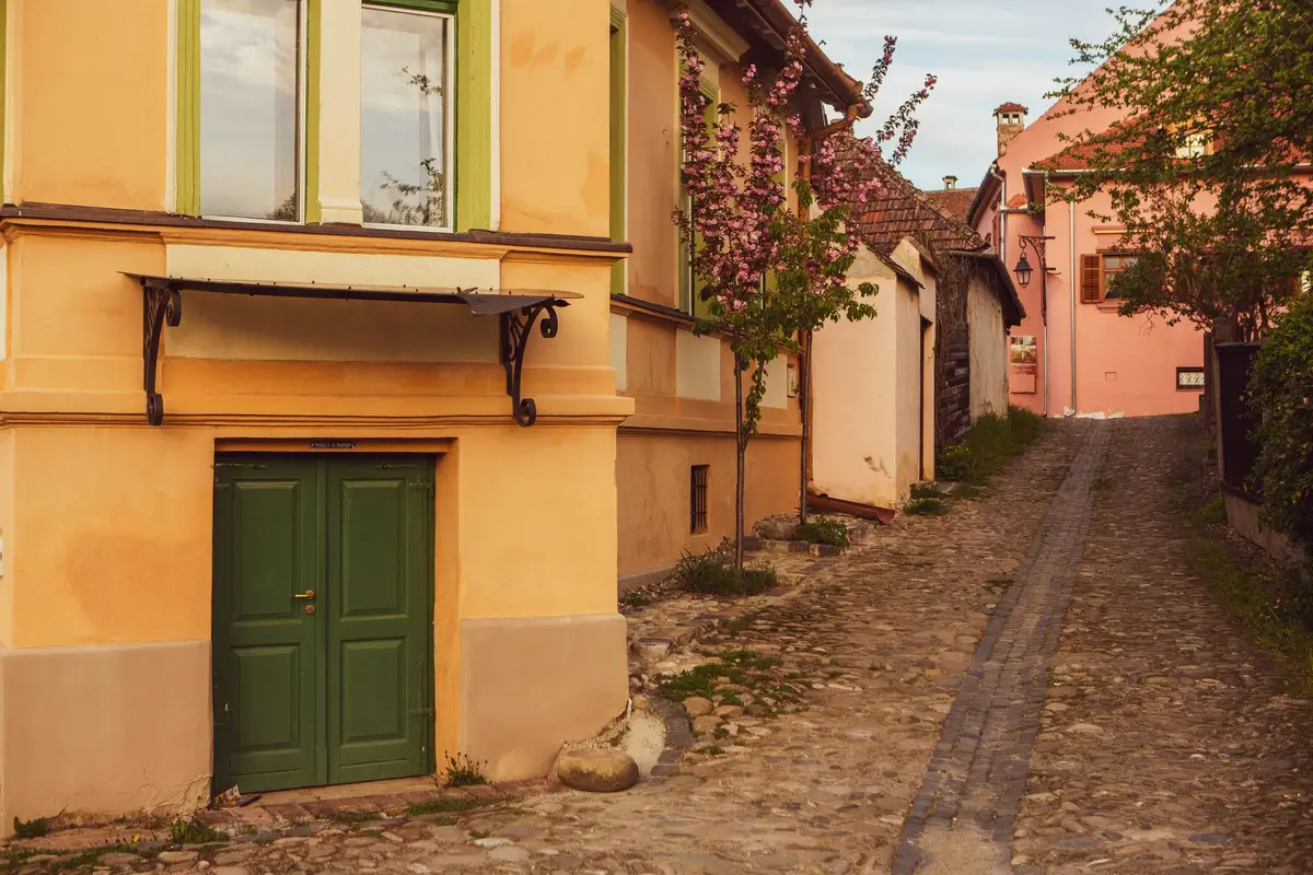 maison rue carmaux