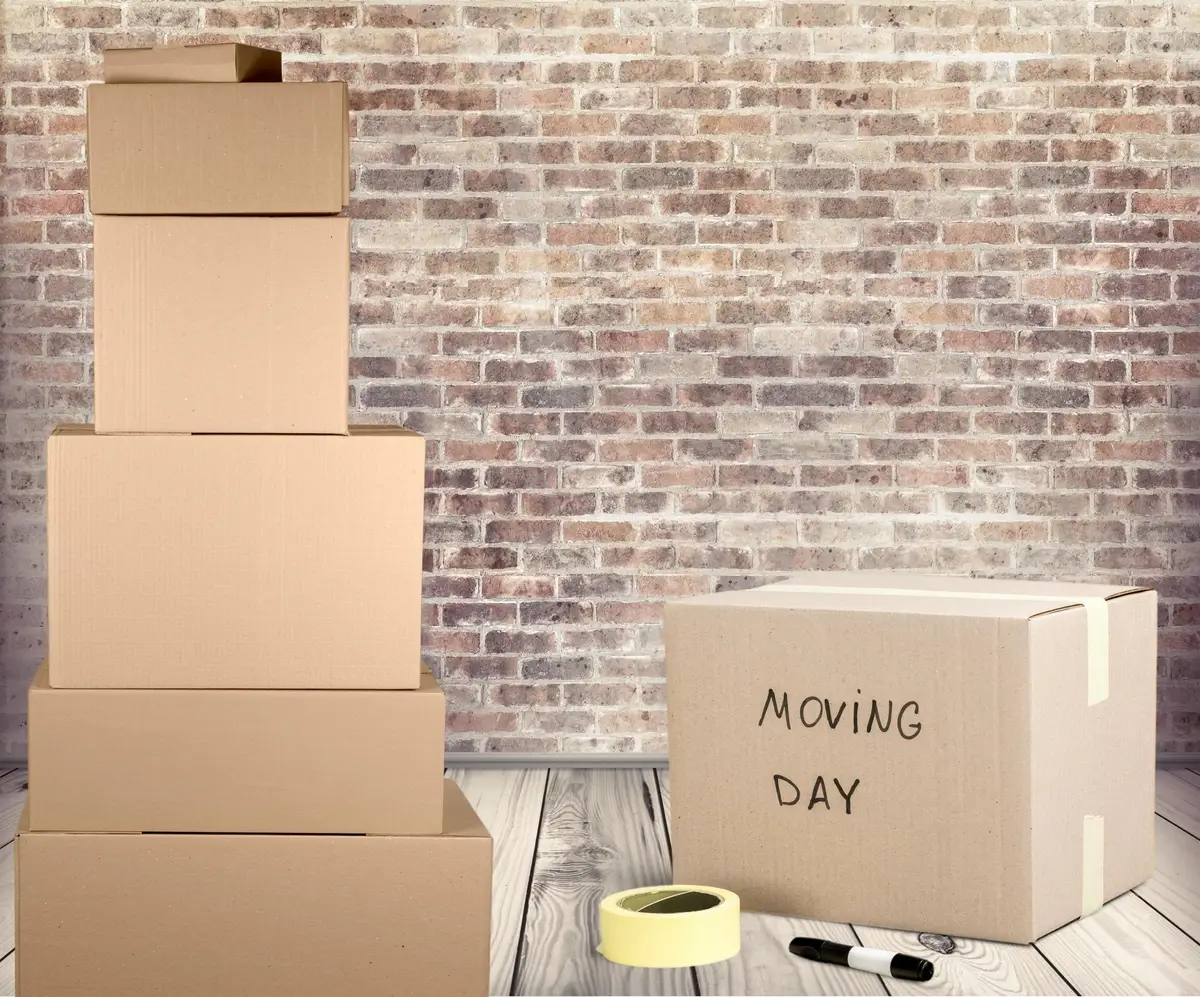 demenagement carton